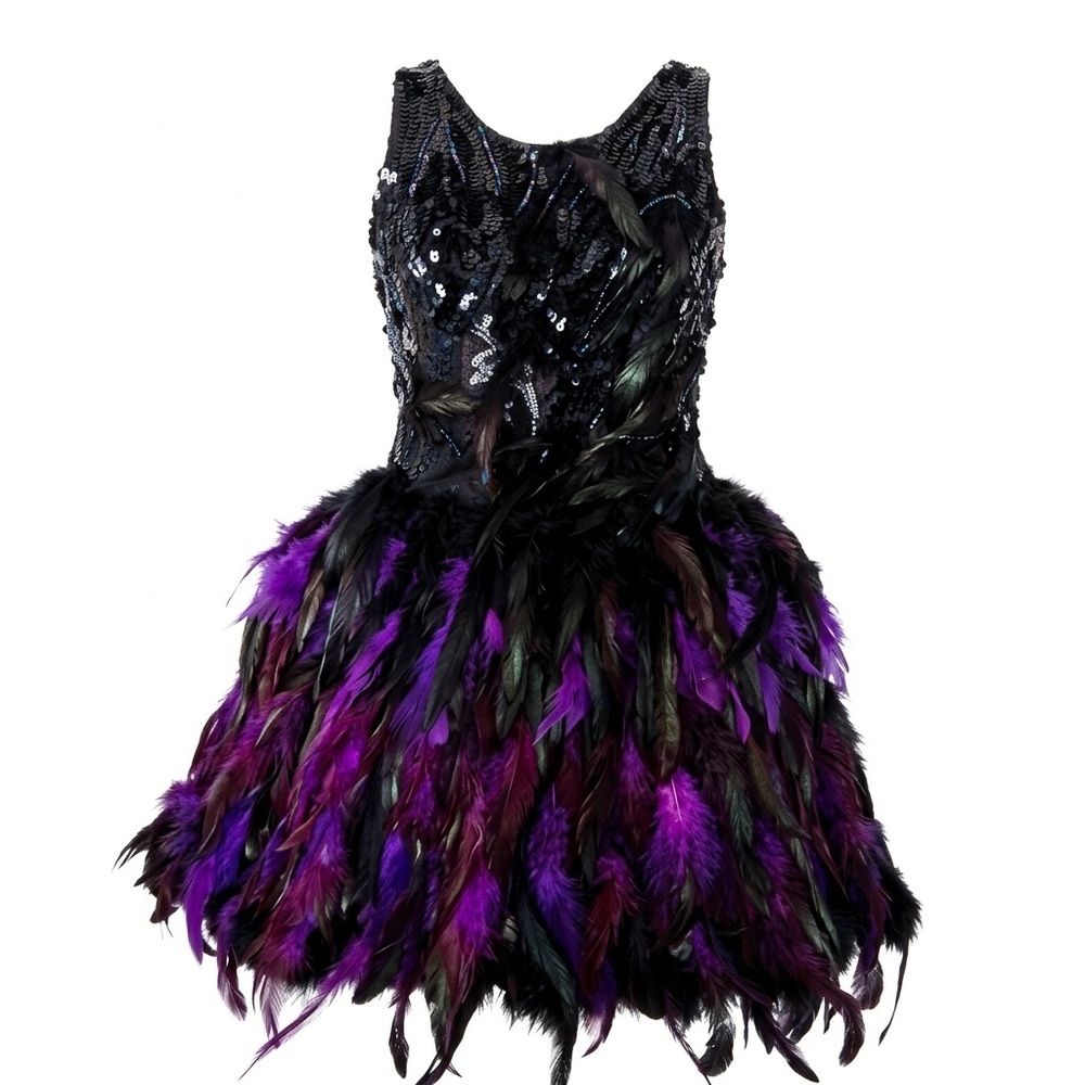 Cosplay Fairy Costume